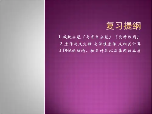 人教版生物必修二期末复习