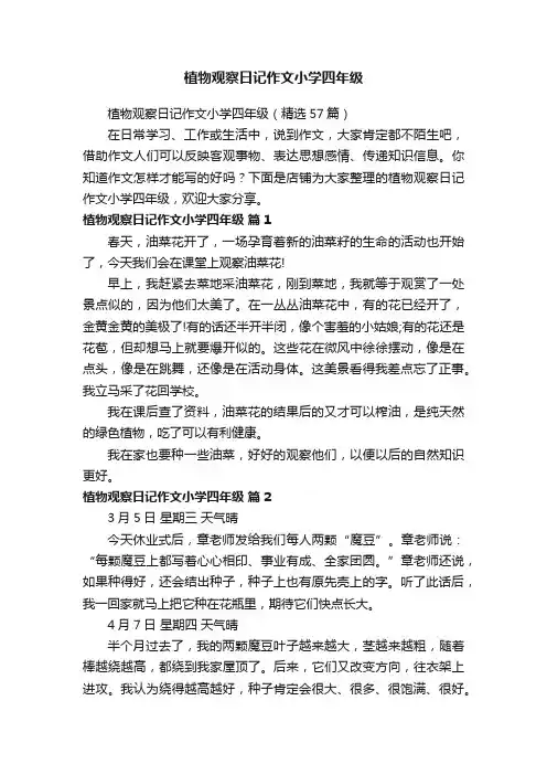 植物观察日记作文小学四年级
