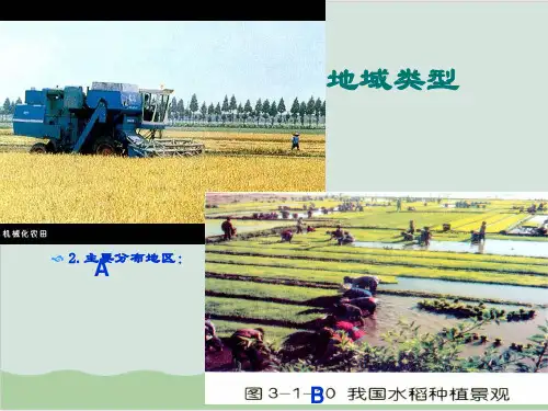 商品谷物农业 教学课件1 人教课标版