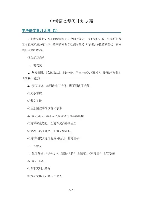 中考语文复习计划6篇