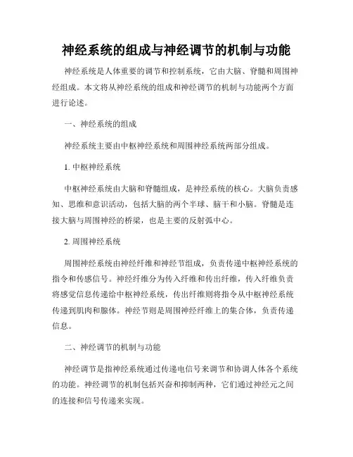 神经系统的组成与神经调节的机制与功能