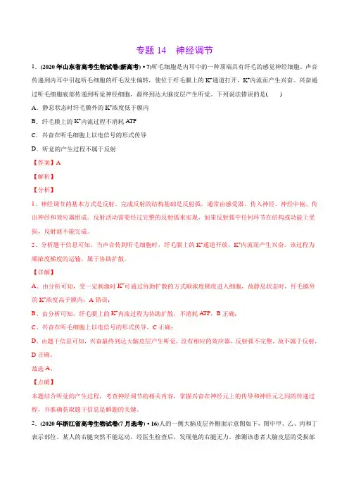 高中生物高考专题14 神经调节-2020年高考真题和模拟题生物分项汇编(教师版含解析)