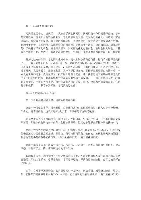 满天星花的作文范文