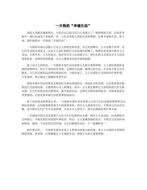一只狗的“幸福生活”