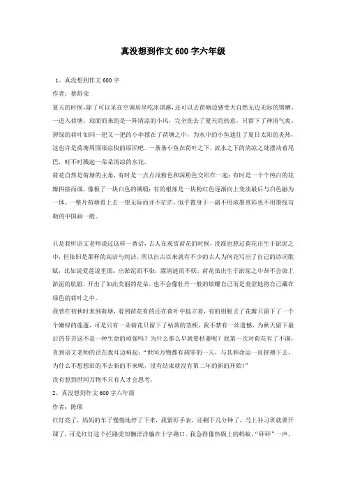 真没想到作文600字六年级