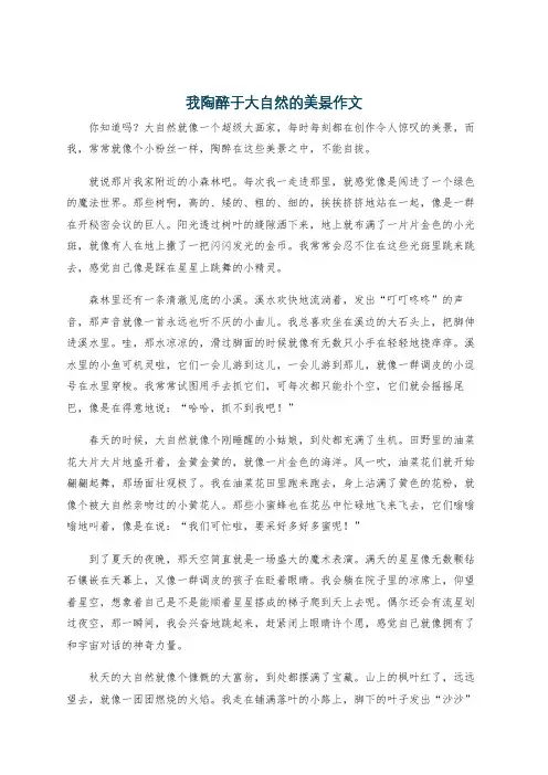我陶醉于大自然的美景作文
