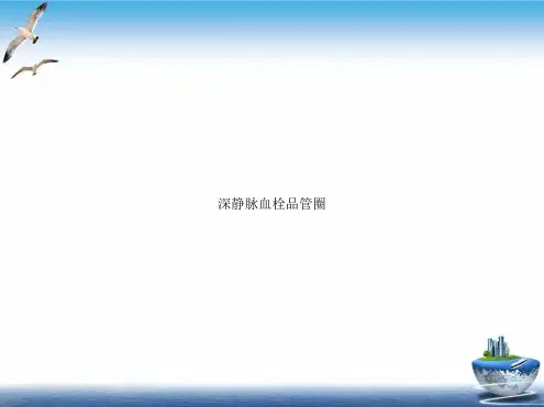 深静脉血栓品管圈PPT课件