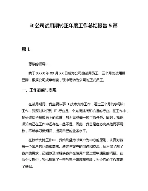 it公司试用期转正年度工作总结报告5篇