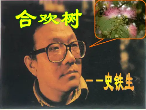 高中语文《合欢树》课件