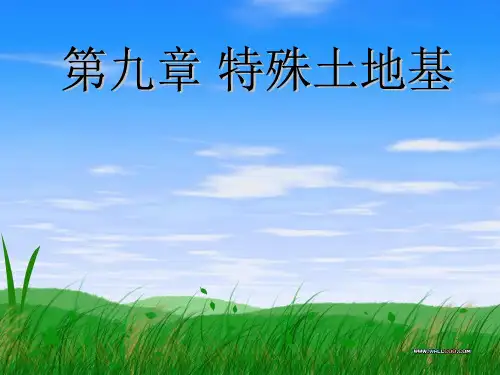特殊土地基