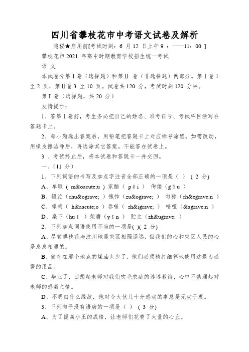 四川省攀枝花市中考语文试卷及解析