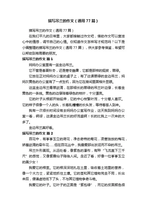 描写吊兰的作文（通用77篇）