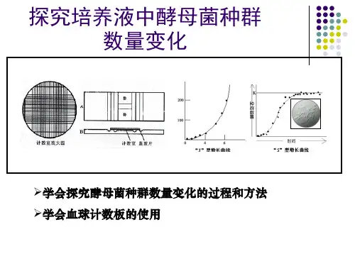 探究酵母菌种群数量变化实验