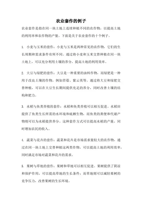 农业套作的例子