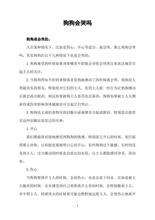 狗狗会哭吗