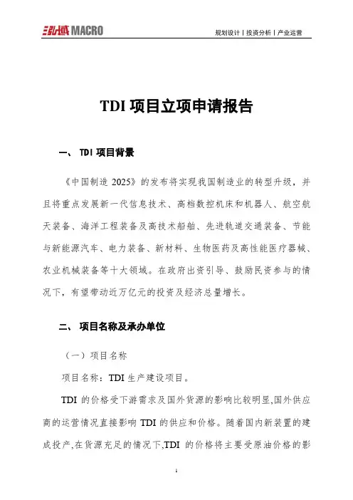 TDI项目立项申请报告