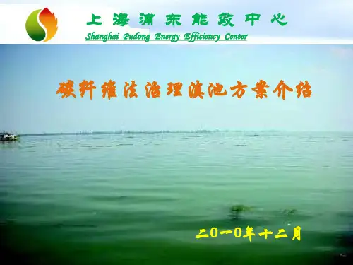 碳纤维法治理滇池.ppt