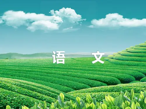 【浙江新中考】2014年中考语文总复习 第二篇 积累与运用 专题八 文学常识 名著阅读课件 新人教版