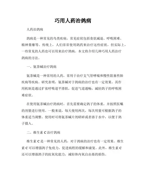 巧用人药治鸽病