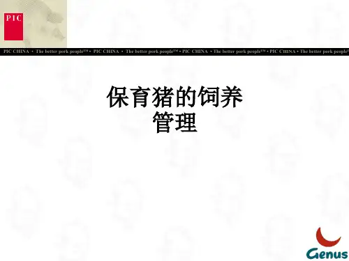 保育猪的饲养管理ppt课件