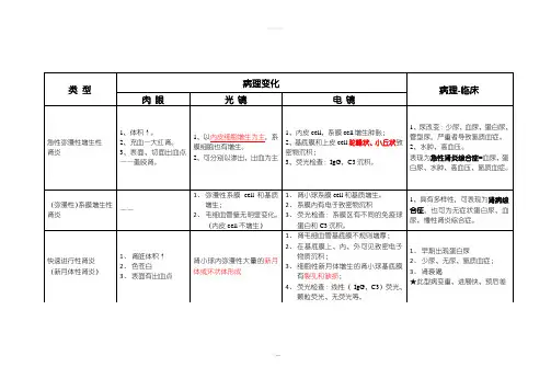 肾小球肾炎的病理类型特点