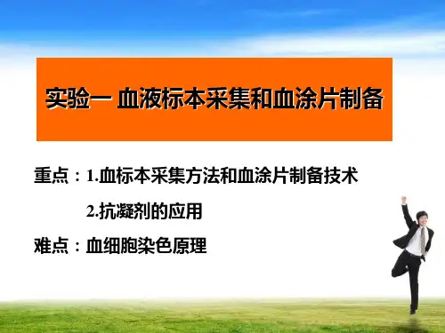 实验一血液标本采集和血涂片制备