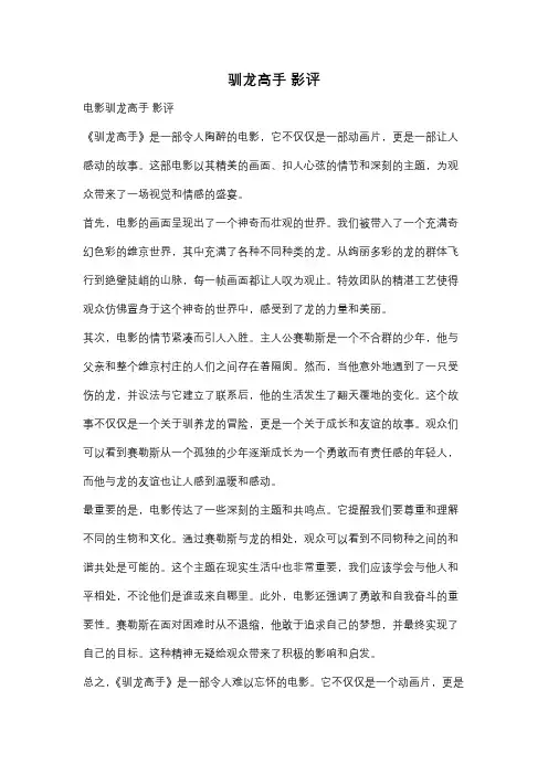 驯龙高手 影评