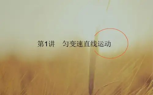2018届高考物理二轮复习专题复习课件专题一 力与直线运动1