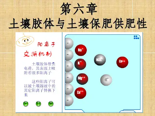 【学习】第六章土壤胶体与土壤保肥供肥性一节-新