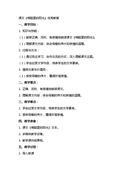 课文《棉鞋里的阳光》的教案