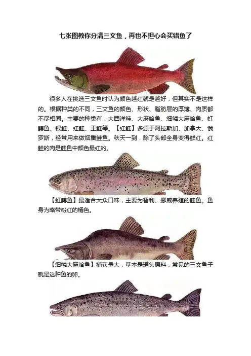 七张图教你分清三文鱼，再也不担心会买错鱼了