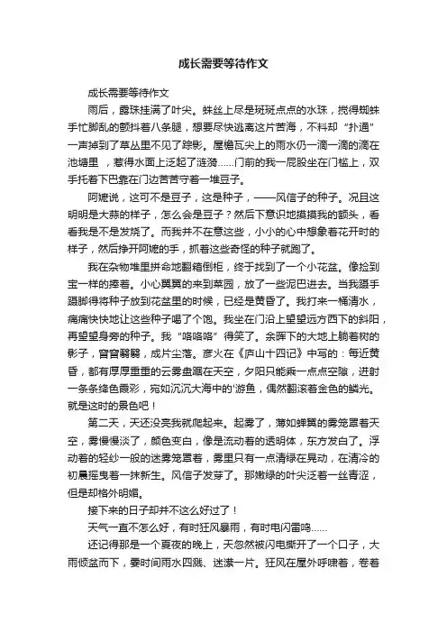 成长需要等待作文