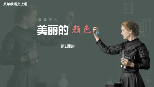 《美丽的颜色》PPT教学课件