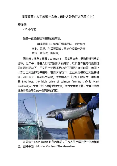 深度故事：人工养殖三文鱼，预计之外的巨大危险（上）