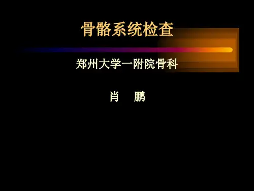 运动系统检查