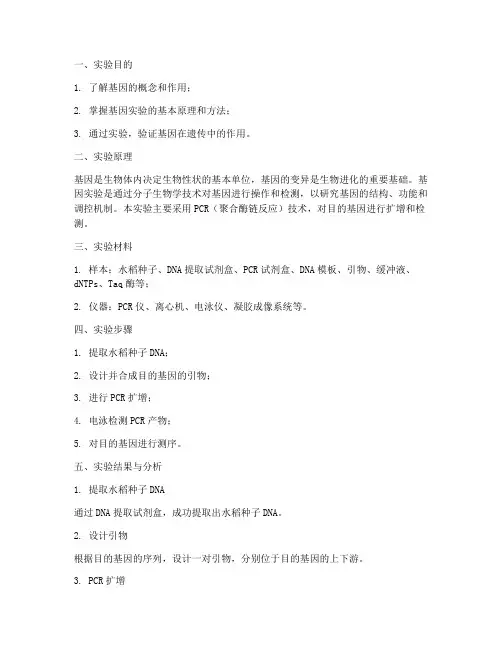 基因实验报告