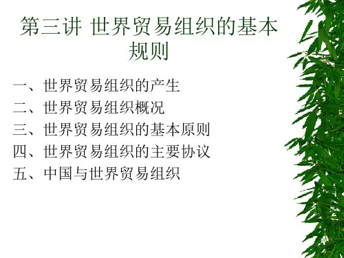 世界贸易组织的基本规则49页PPT