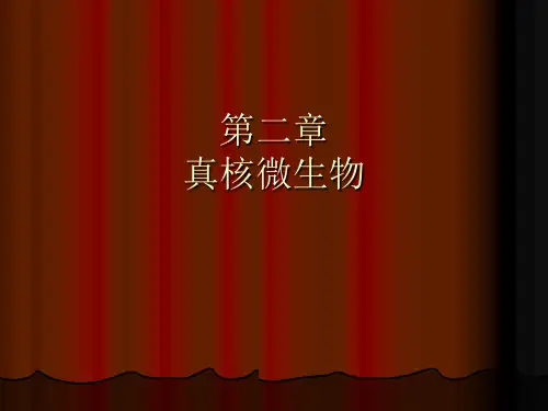 第二章真核微生物ppt课件