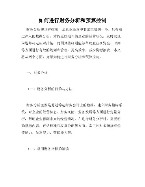 如何进行财务分析和预算控制