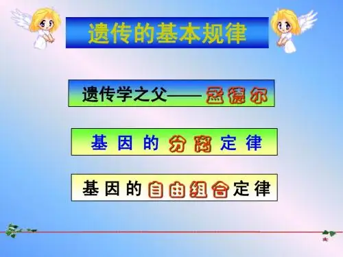 第二节 遗传的基本规律