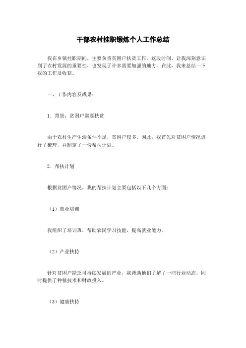 干部农村挂职锻炼个人工作总结