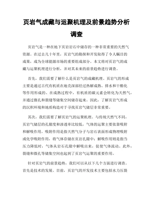 页岩气成藏与运聚机理及前景趋势分析调查