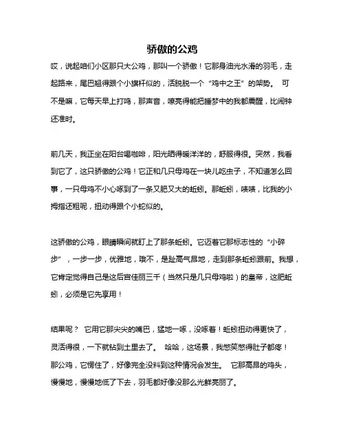 作文《骄傲的公鸡》