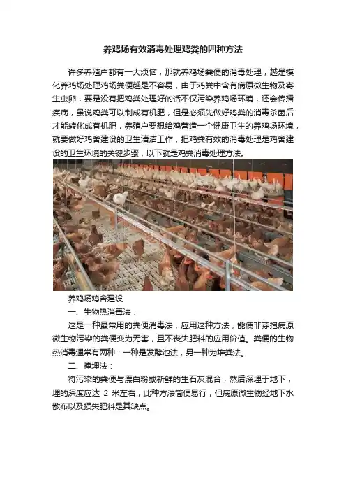 养鸡场有效消毒处理鸡粪的四种方法