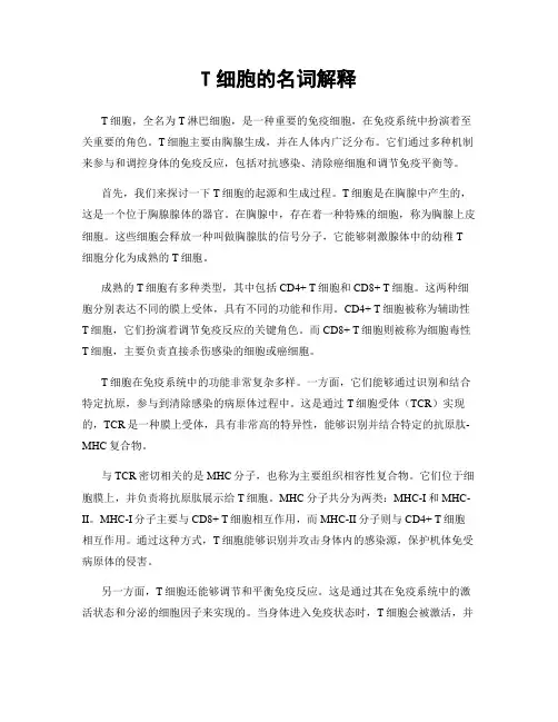 T细胞的名词解释