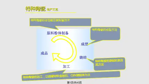 特种陶瓷工艺学PPT课件
