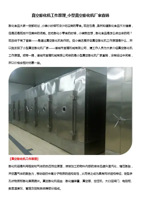 真空膨化机工作原理_小型真空膨化机厂家直销