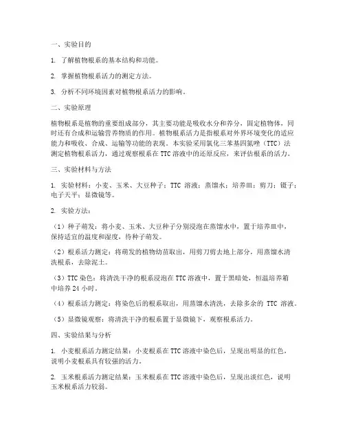 植物根系的测定实验报告