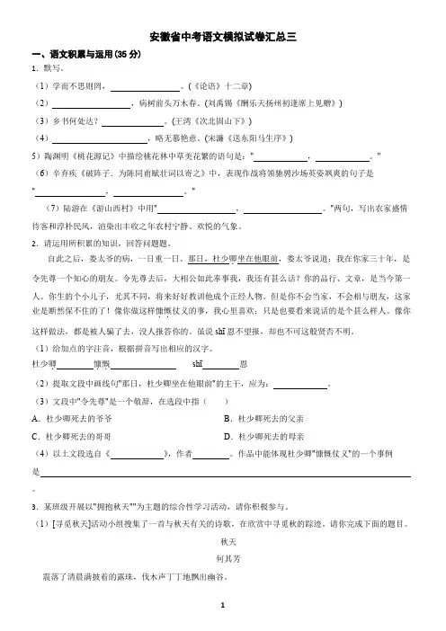 安徽省中考语文模拟试卷汇总三(含答案)