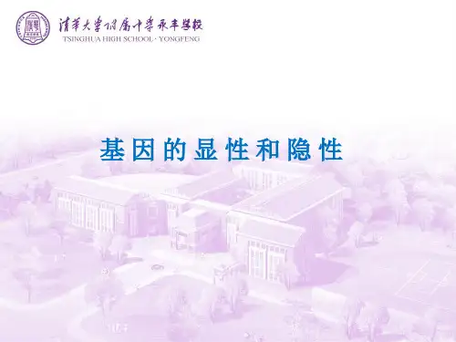 基因的显性和隐性
